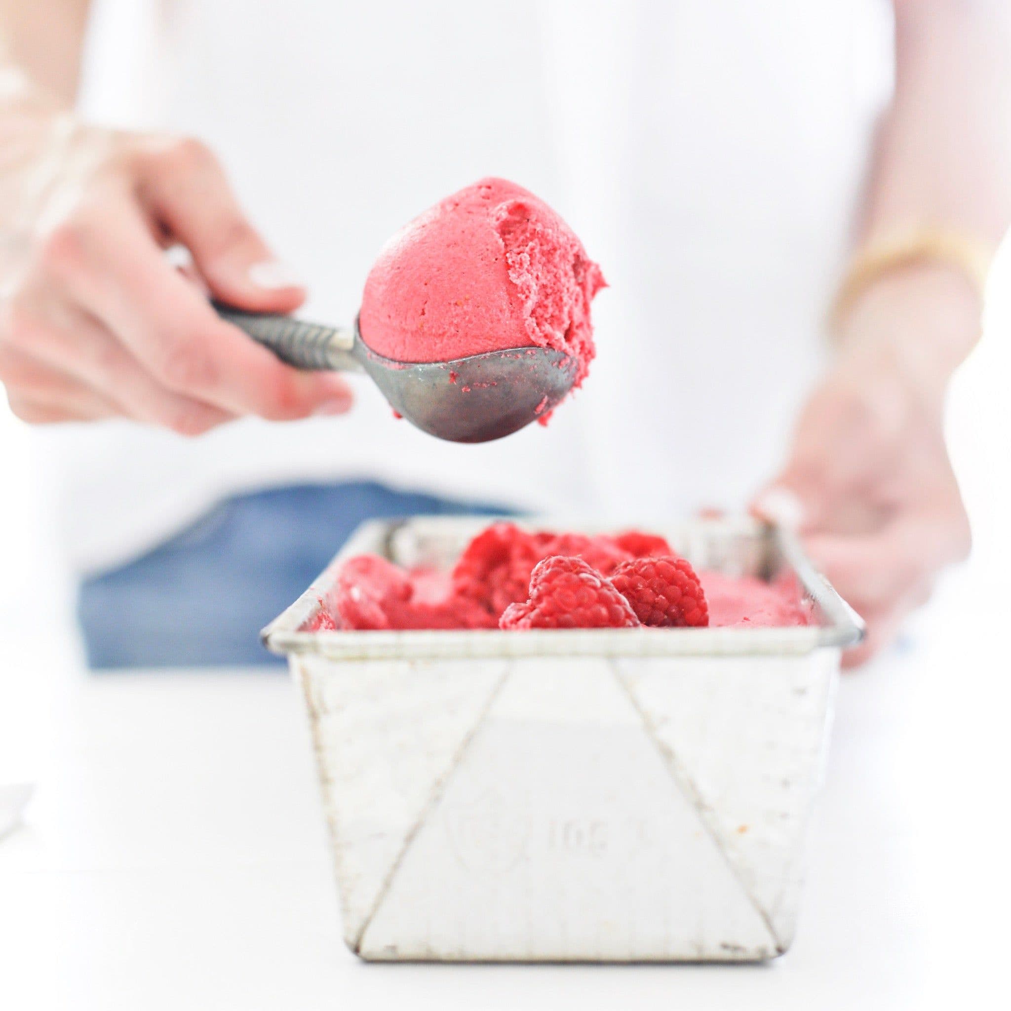 Raspberry Blender Frozen Yogurt banner image