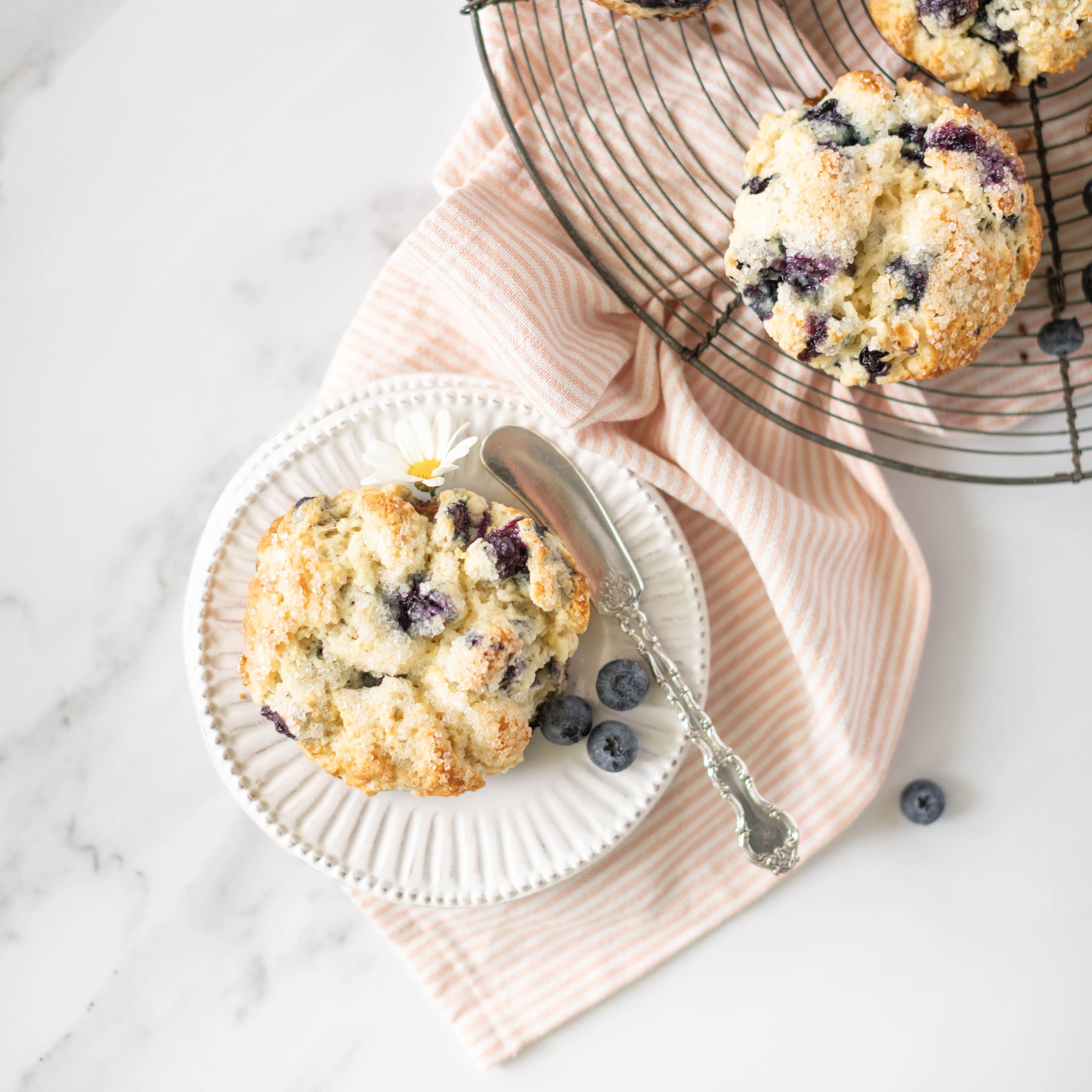 Blueberry Lemon Scones banner image