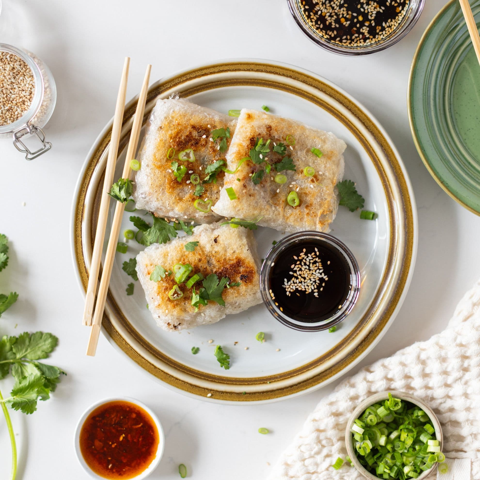 Rice Paper Dumplings banner image