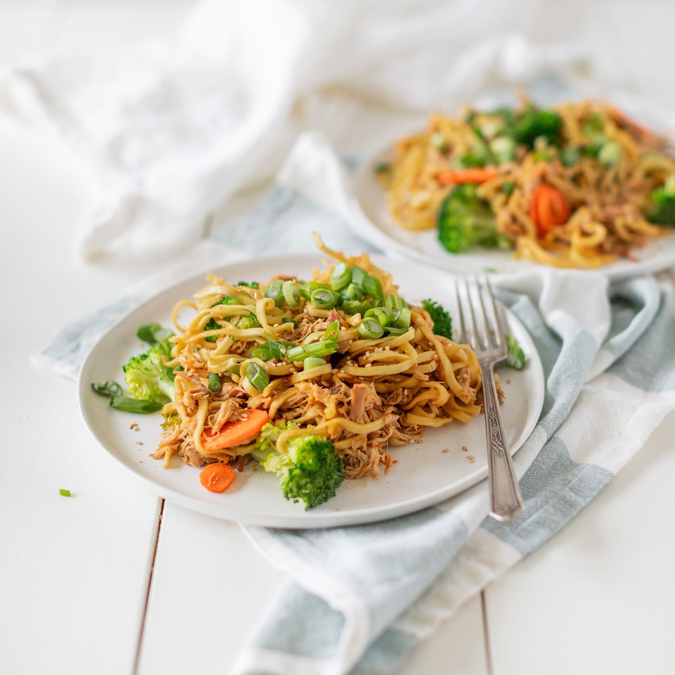 Slow Cooker Honey Garlic Chicken Noodles banner image