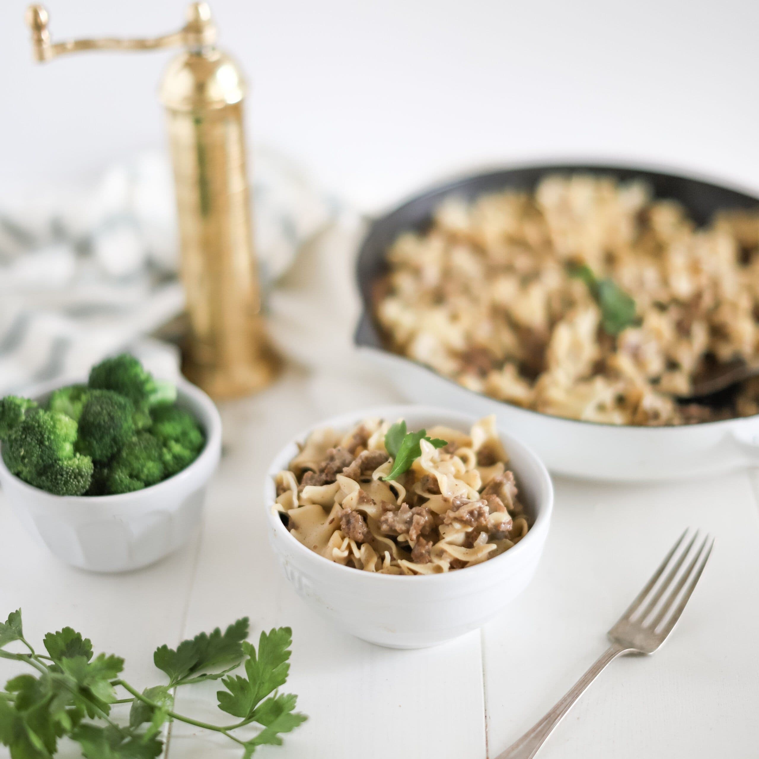 Stroganoff banner image