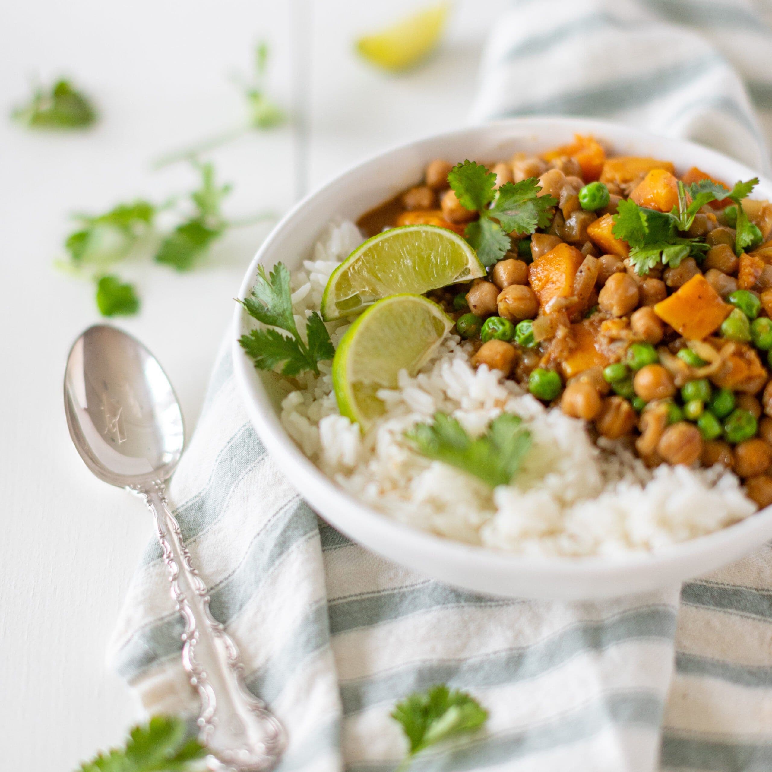 Slow Cooker Warm Winter Curry banner image